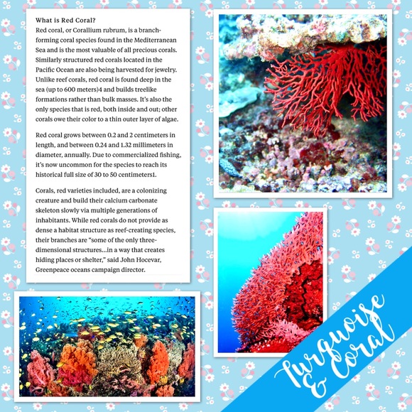 Vintage Native American Turquoise, Coral & Onyx Sterling Silver Dangle Earrings - Picture 7 of 7